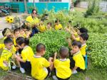 แนวทางการบูรณาการกิจกรรม 